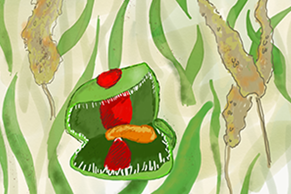 Hungry plant