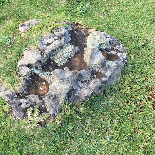 Overgrown rock
