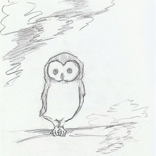 Owl