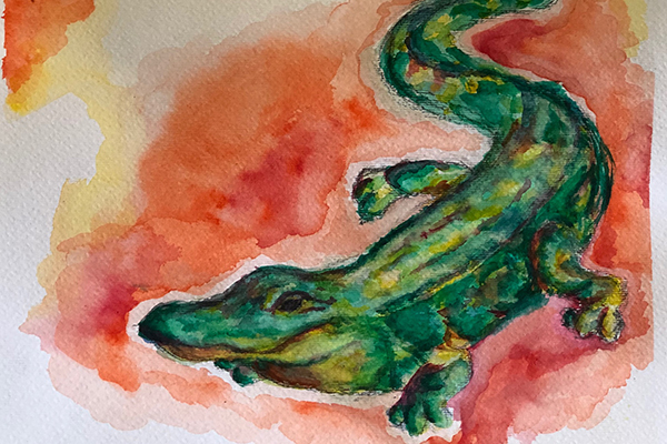 Crocodile